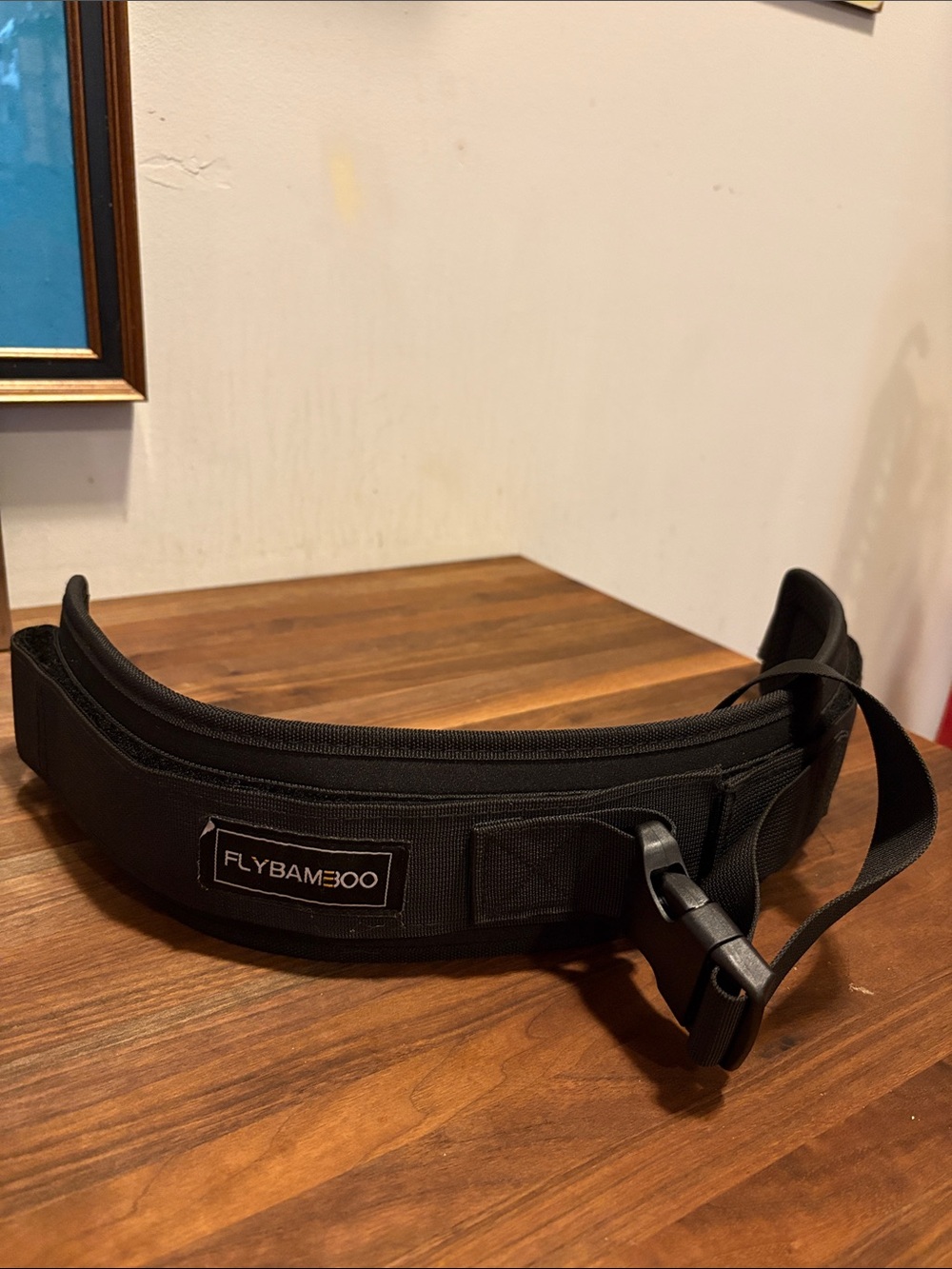 Hip Thrust Dumbbell Strap Booty Builder Belt Glute Bridge Gym Accessory